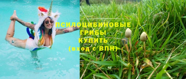 эйфоретик Алексин