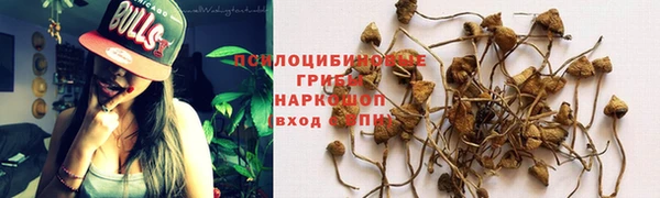 экстази Алзамай