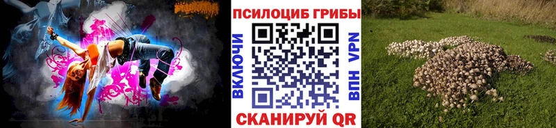 Купить закладки  Соликамск  Псилоцибиновые грибы мухоморы 